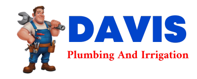 Trusted plumber in DELONG